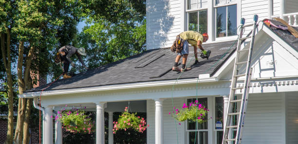 Best Roof Insulation Installation  in Quinebaug, CT